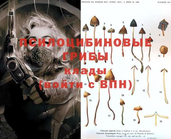 меф VHQ Медвежьегорск