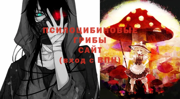 дживик Медногорск