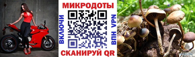 Купить где  Окуловка  Галлюциногенные грибы прущие грибы 